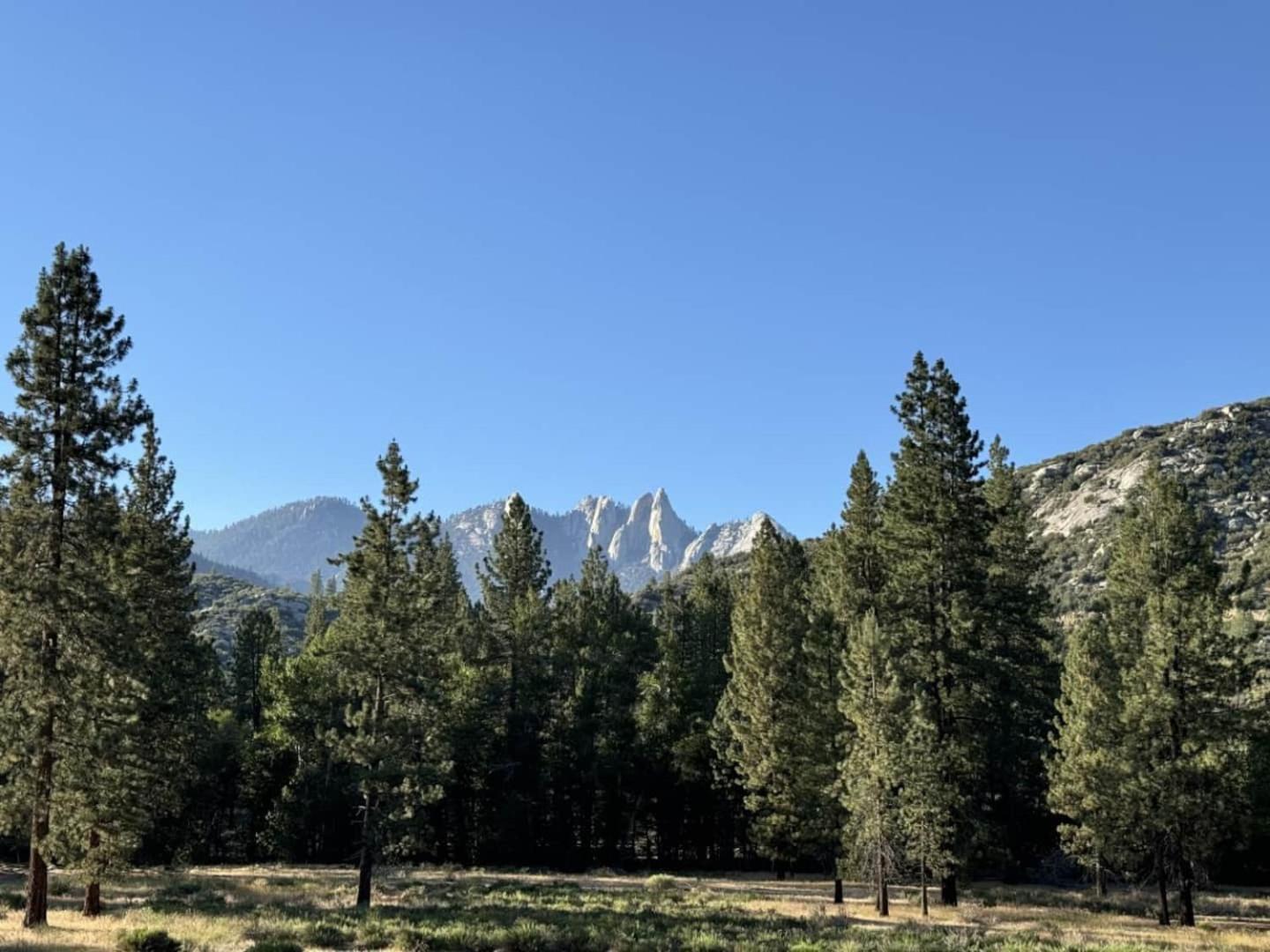 Peppermint Falls Ranch Ponderosa ภายนอก รูปภาพ