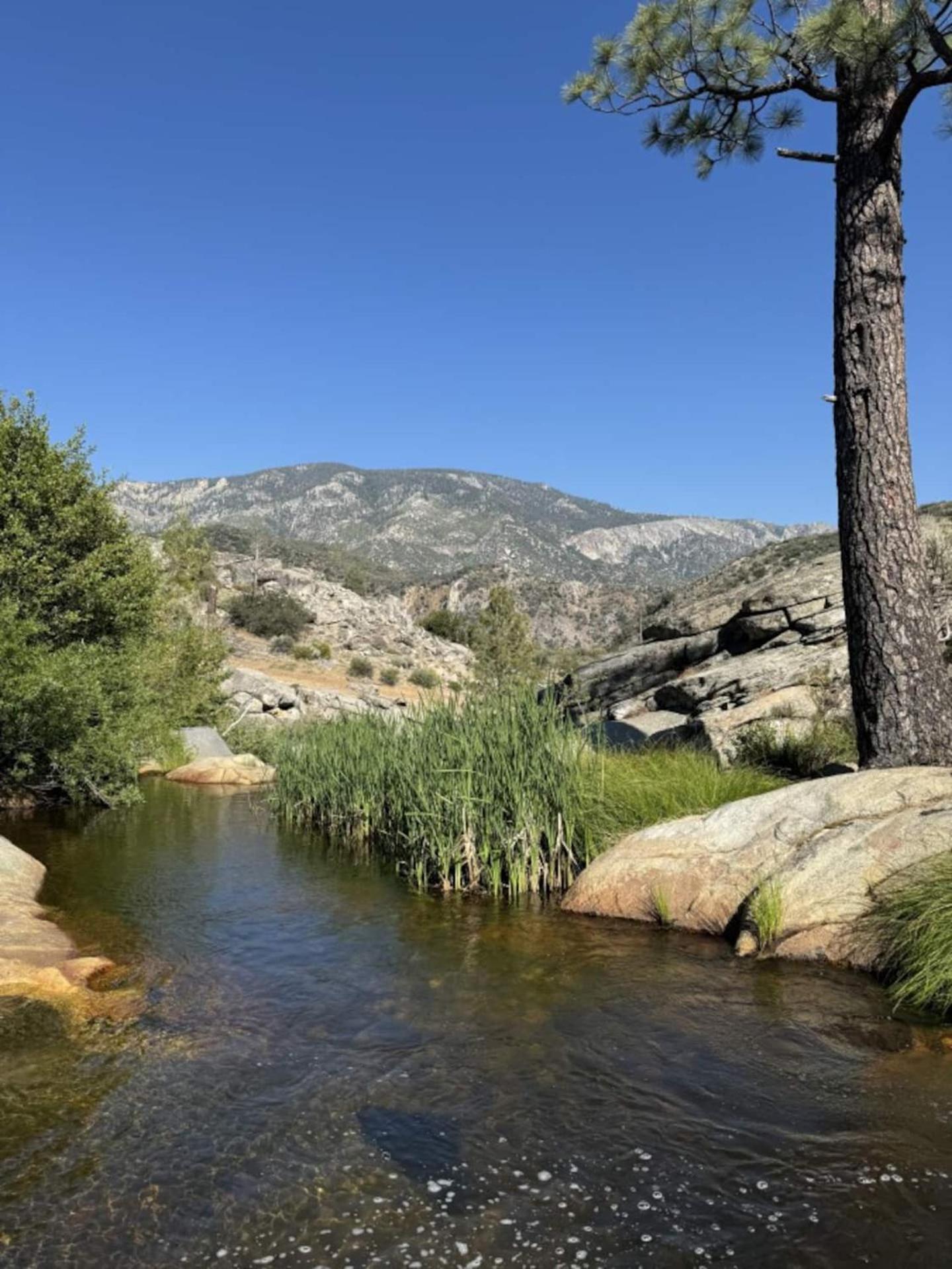 Peppermint Falls Ranch Ponderosa ภายนอก รูปภาพ